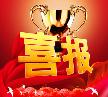 “第六届中国led行业2013年度评选”元亨双丰收